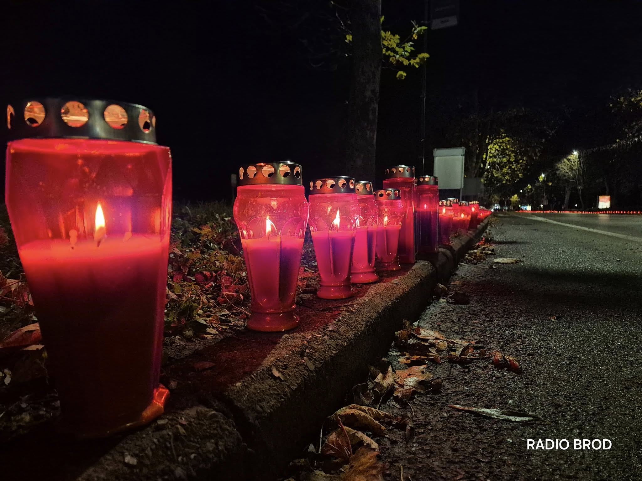 585140095 1456228166091500 4425383631849065506 n